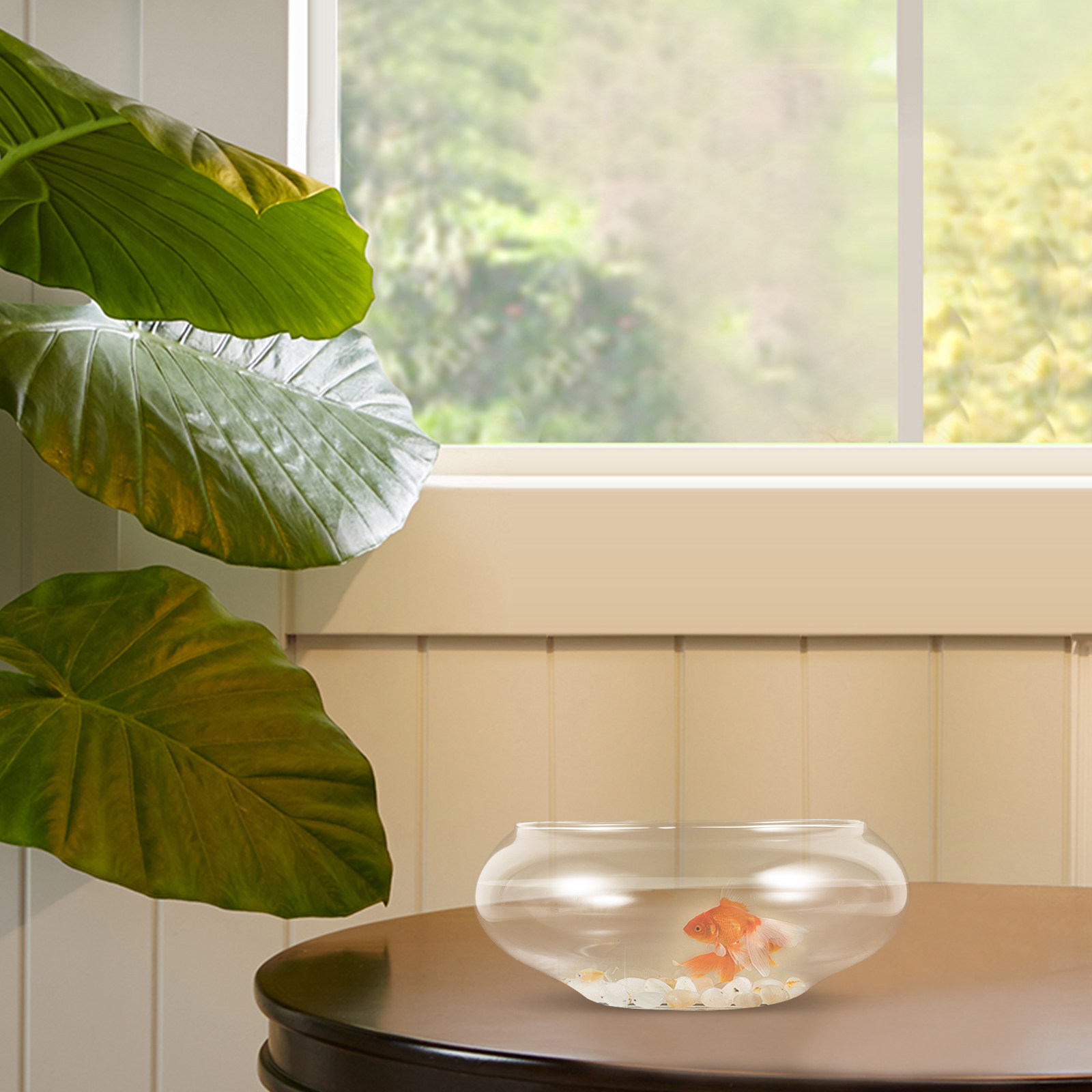 Aquarium Fish Goldfish - Glass Fish Bowl Desktop Aquarium Tank