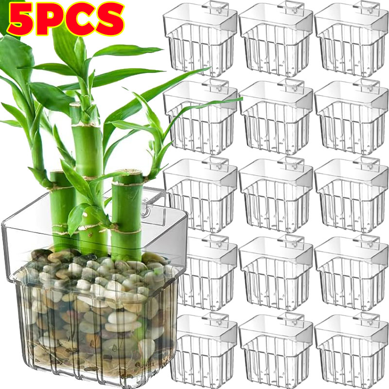 Aquarium Fish Gallery - 1/5pcs Aquarium Decoration Plant Cup Transparent