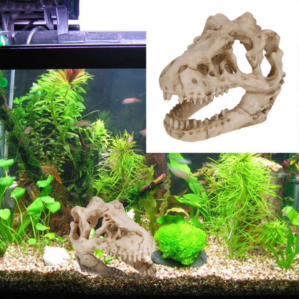 Creative Simulation Dinosaur S - Aquarium Fish Hide recensie en prijs