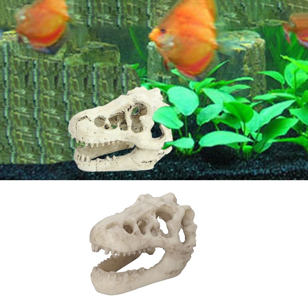 Creative Simulation Dinosaur S - Aquarium Fish Hide recensie en prijs
