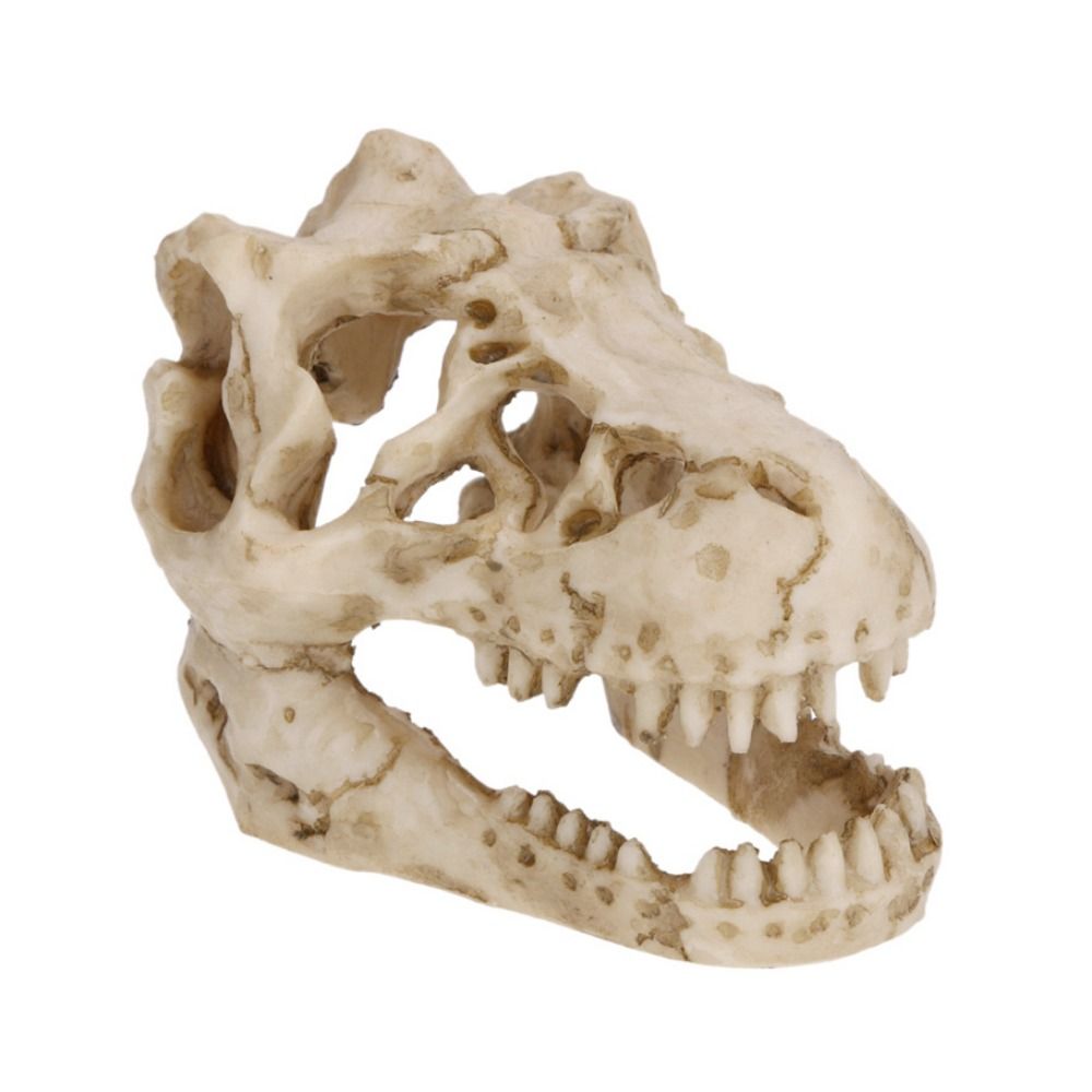 Creative Simulation Dinosaur S - Aquarium Fish Hide recensie en prijs