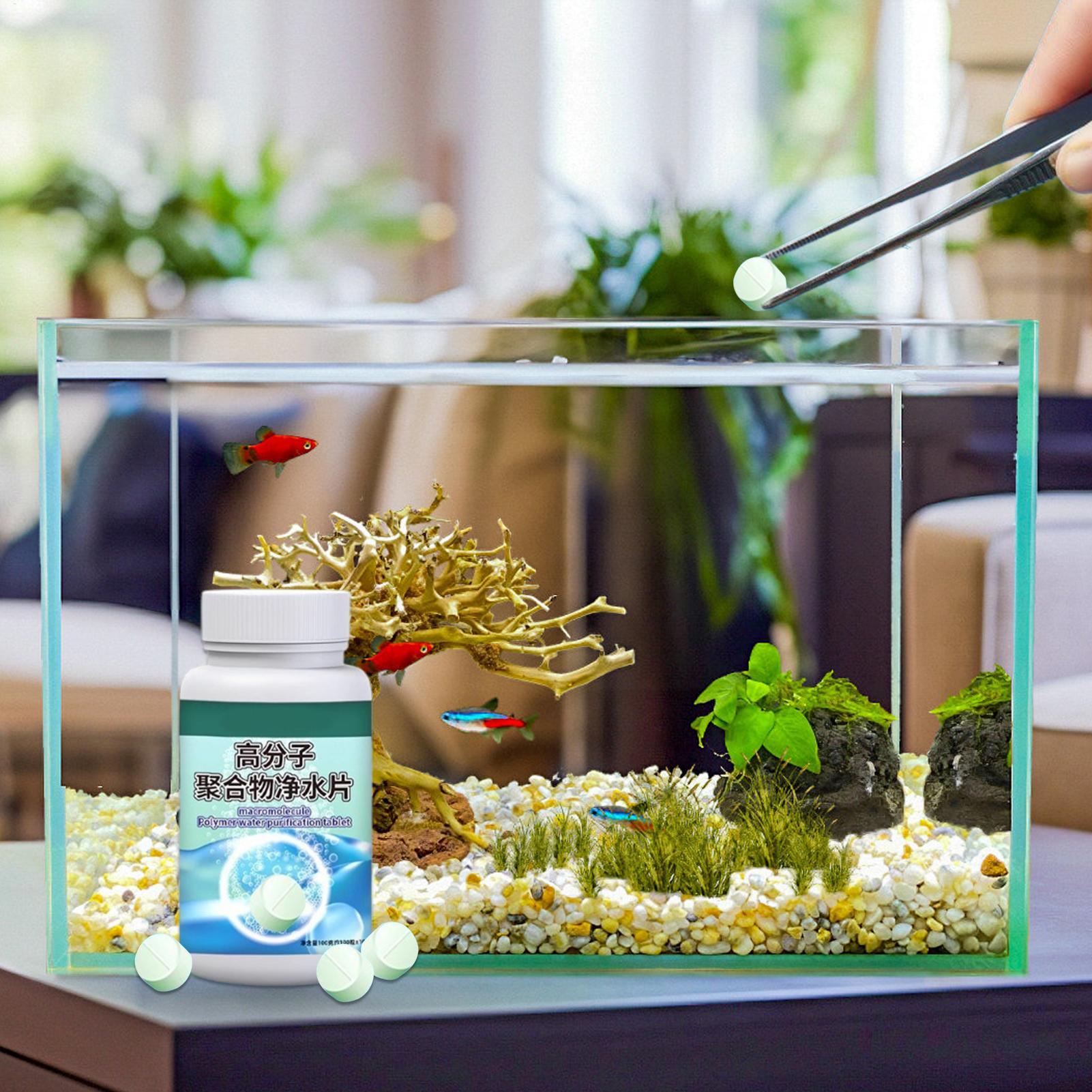 Fish Can Algae Remover Aquariu - Aquarium Fish Betta recensie en prijs