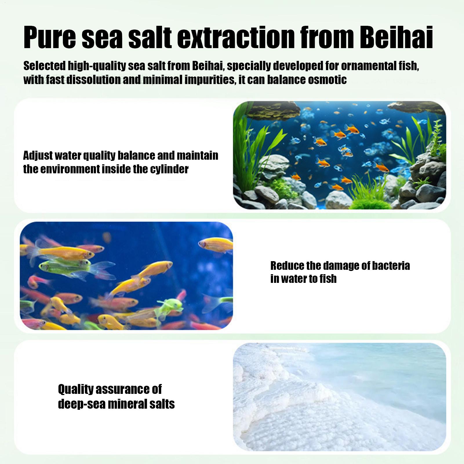 Fish Can Algae Remover Aquariu - Aquarium Fish Betta recensie en prijs