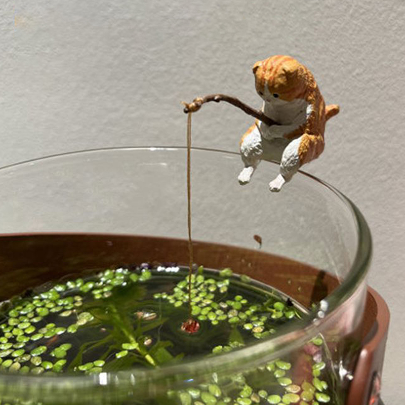 1Pc Creative Fishing Cat Fish  - Aquarium Fish Gallery recensie en prijs