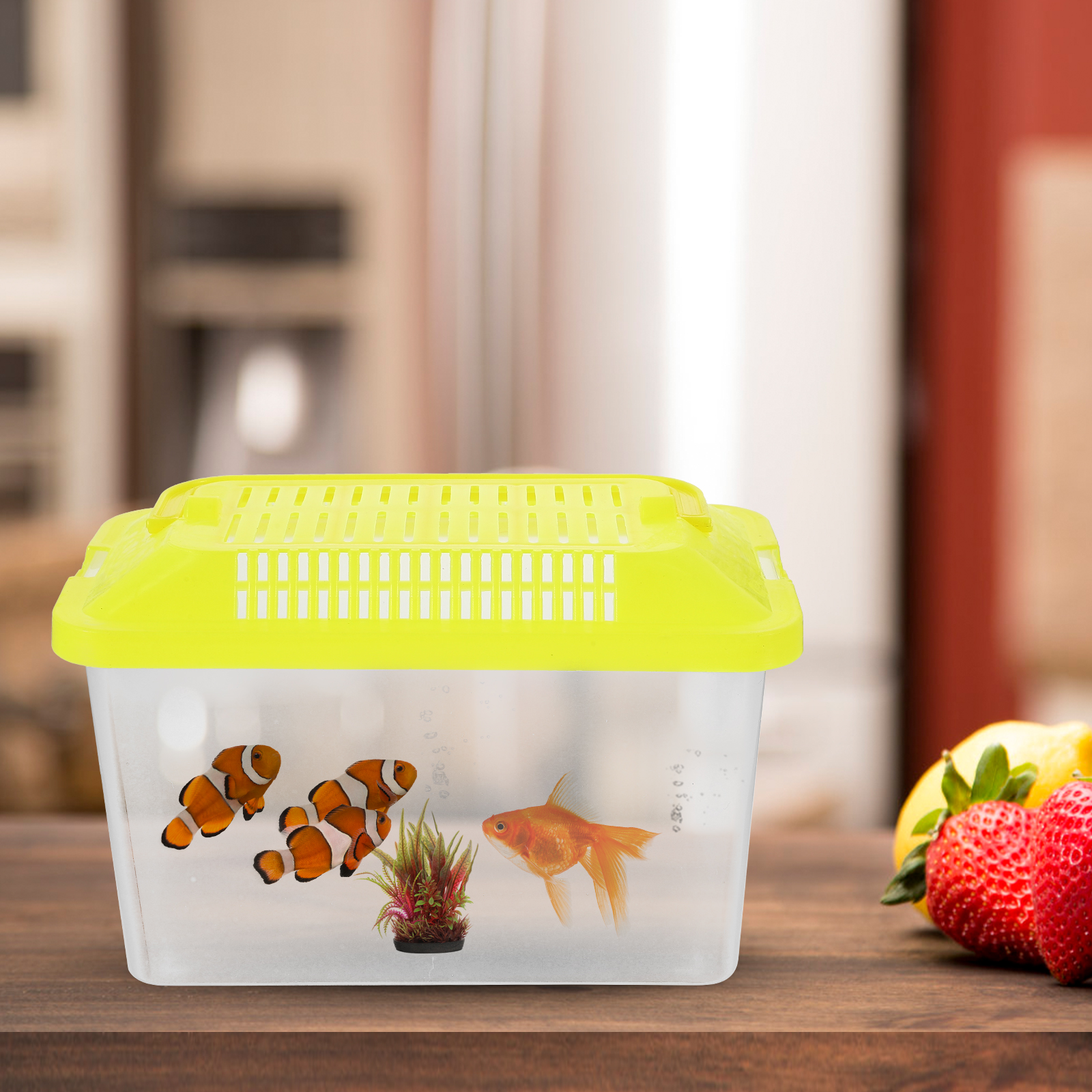 Plastic Turtle Fish Tank Aquar - Aquarium Fish For Sale recensie en prijs