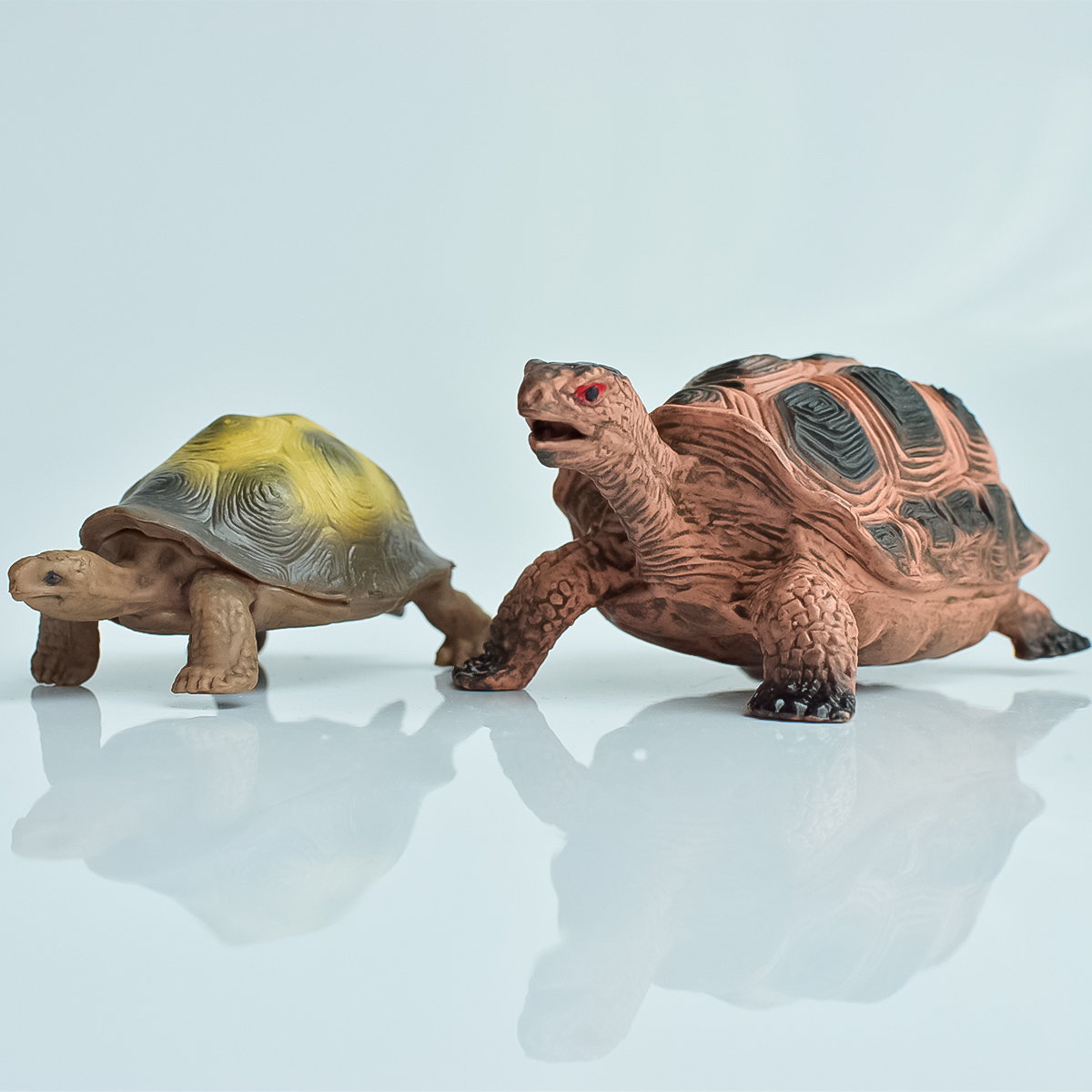 Painted Realistic Animal Turtl - Aquarium Fish Gallery recensie en prijs
