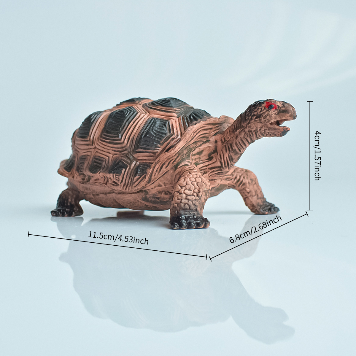 Painted Realistic Animal Turtl - Aquarium Fish Gallery recensie en prijs