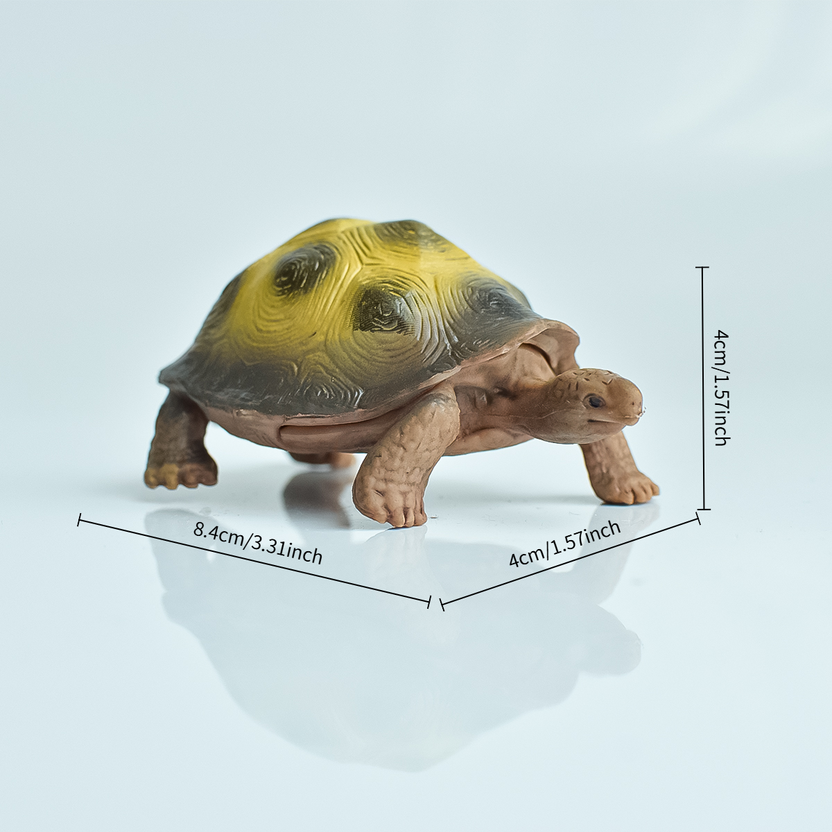 Painted Realistic Animal Turtl - Aquarium Fish Gallery recensie en prijs