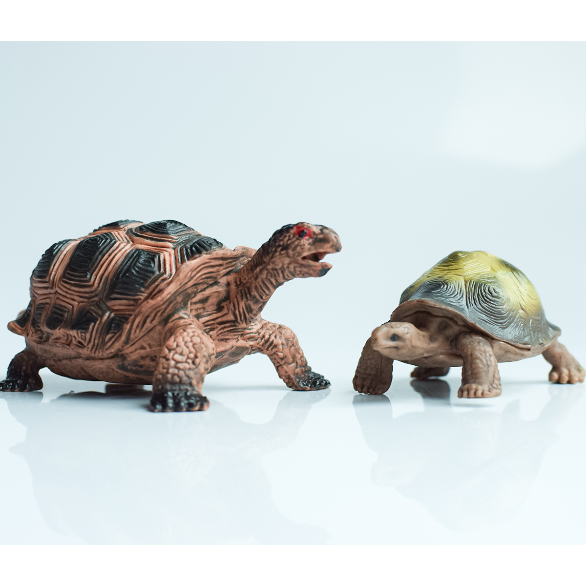 Painted Realistic Animal Turtl - Aquarium Fish Gallery recensie en prijs