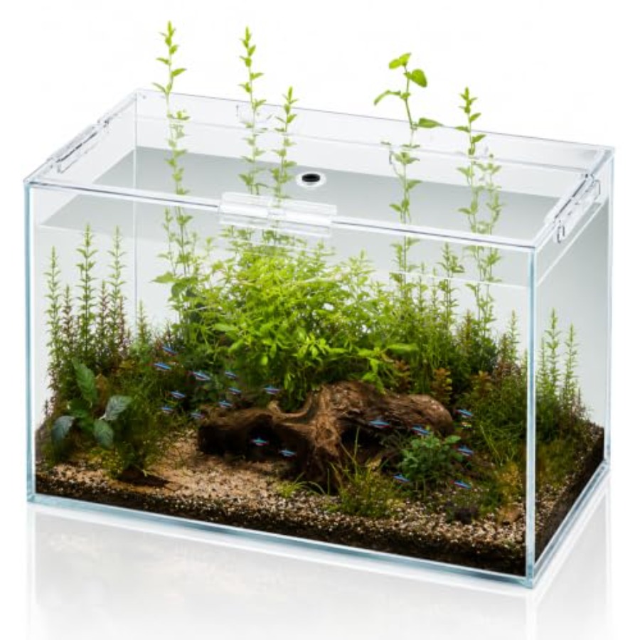 10 Gallon Glass Fish Tank Open - Aquarium Fish Goldfish recensie en prijs
