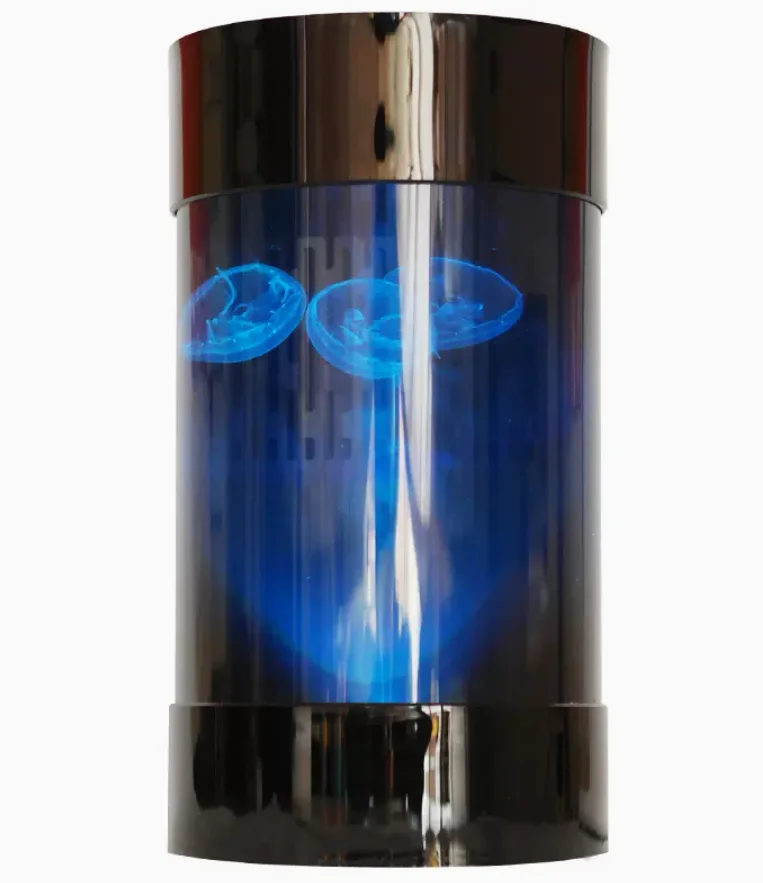 Best Amazon Sales Jellyfish Ta - Aquarium Fish Amazon recensie en prijs