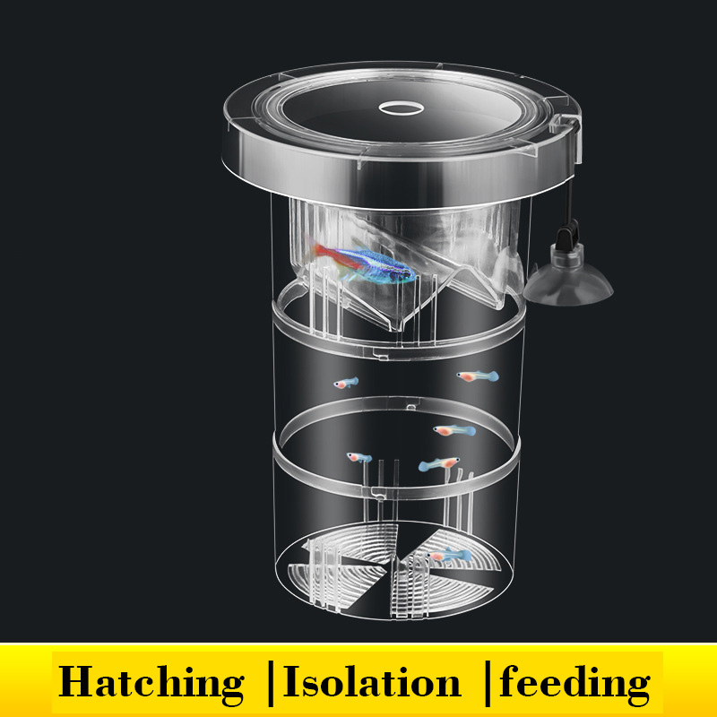Floating Fish Breeding Isolati - Aquarium Fish Betta recensie en prijs