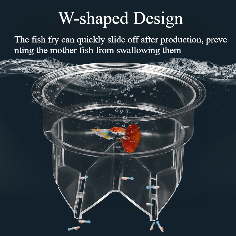 Floating Fish Breeding Isolati - Aquarium Fish Betta recensie en prijs