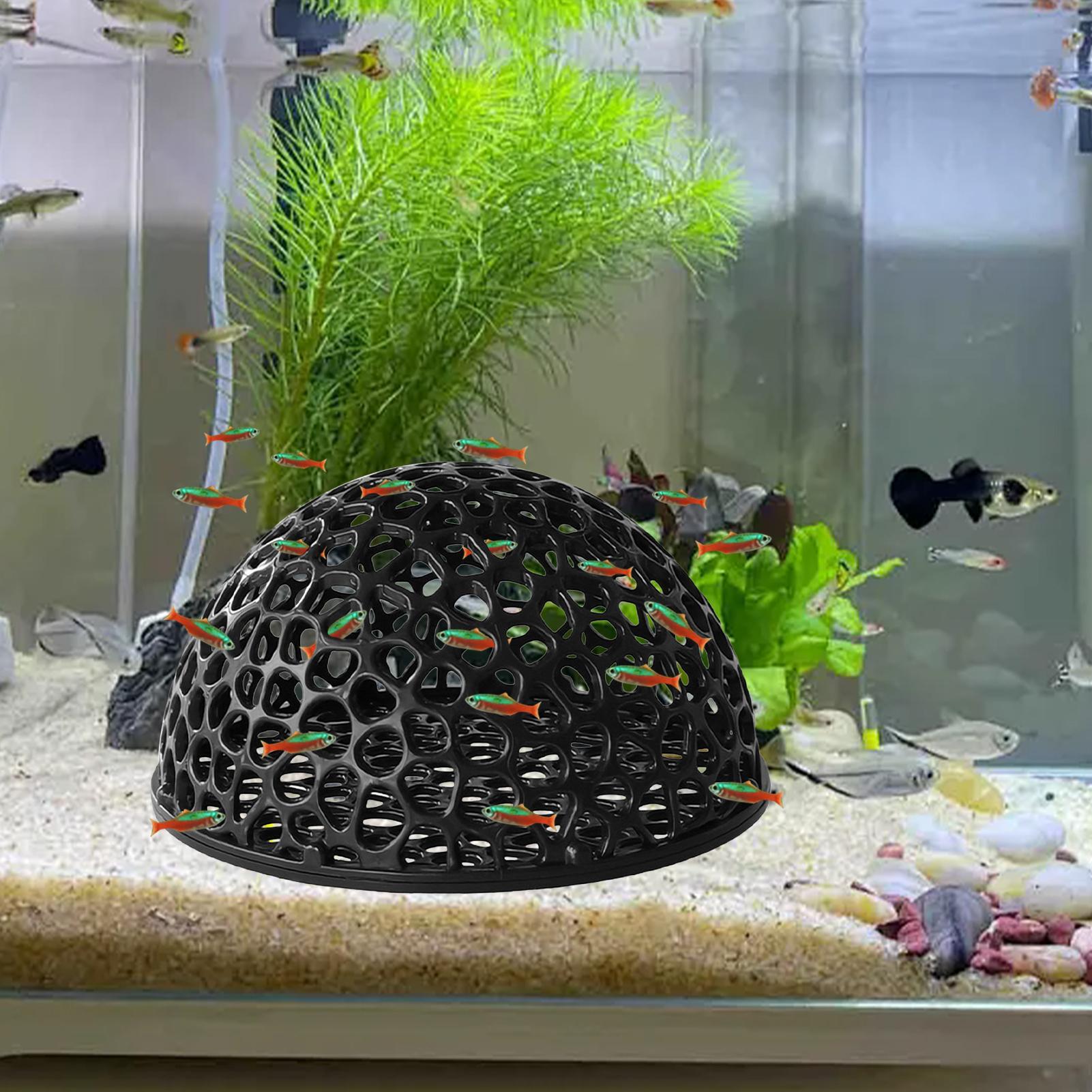 Mini Porous Betta House Aquari - Aquarium Fish Hiding Spot recensie en prijs