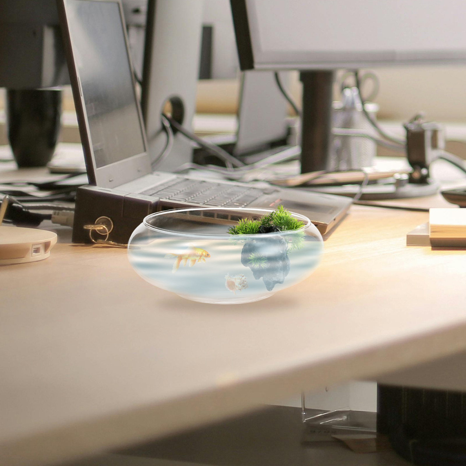 Glass Fish Bowl Desktop Aquari - Aquarium Fish Goldfish recensie en prijs