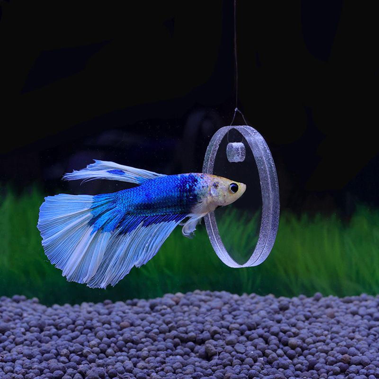 2Pcs Floating Feeding Ring Wit - Aquarium Fish Betta recensie en prijs