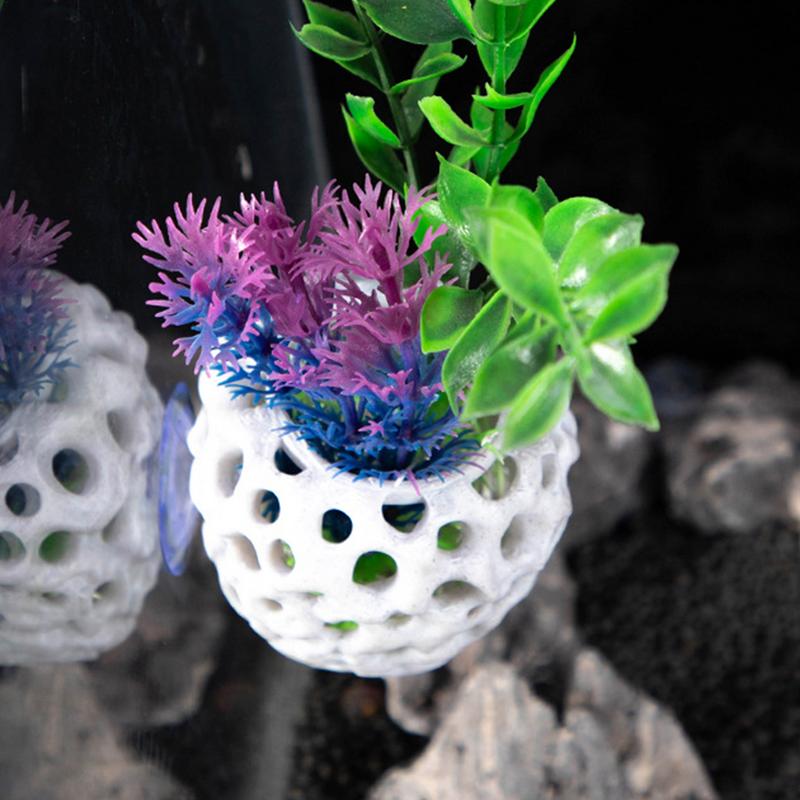 Small Aquarium shrimp house Ca - Aquarium Fish Hiding Spot recensie en prijs