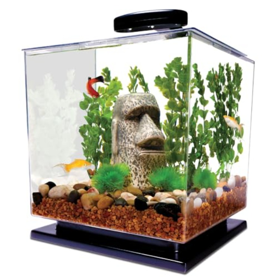 3 Gallon Fish Tank Aquarium St - Aquarium Fish Goldfish recensie en prijs