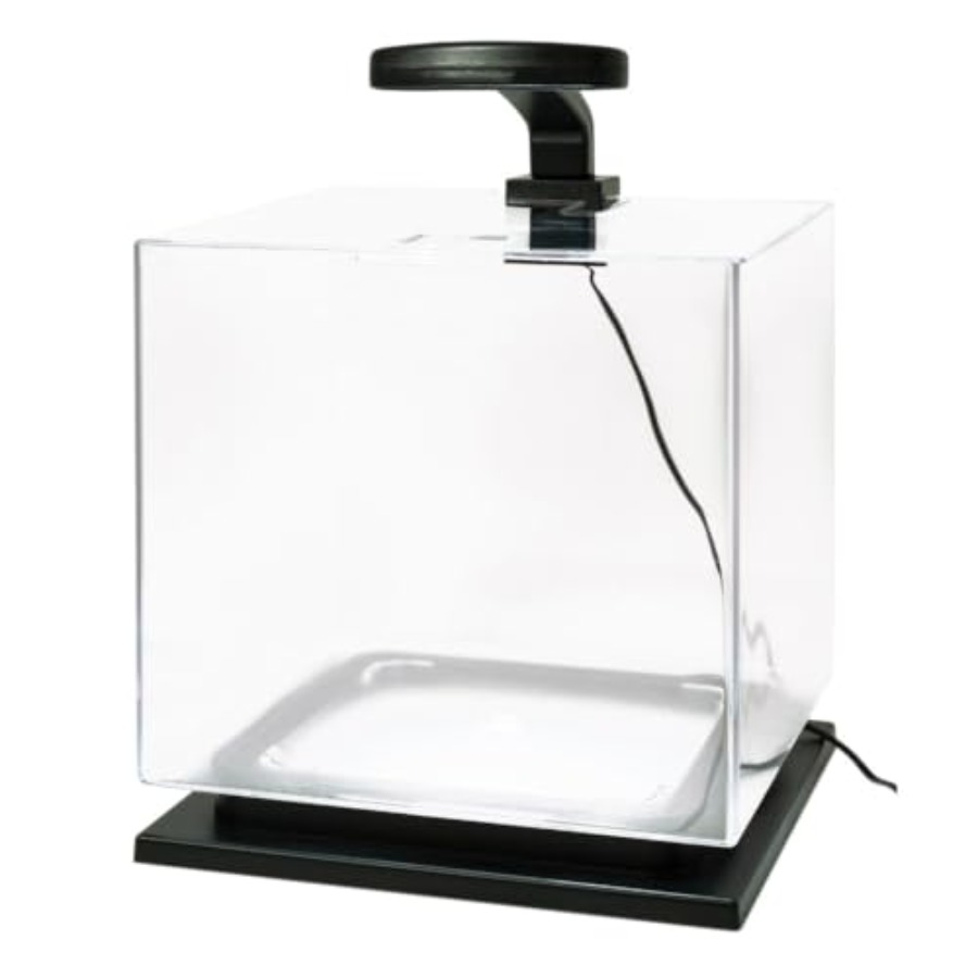 3 Gallon Fish Tank Aquarium St - Aquarium Fish Goldfish recensie en prijs