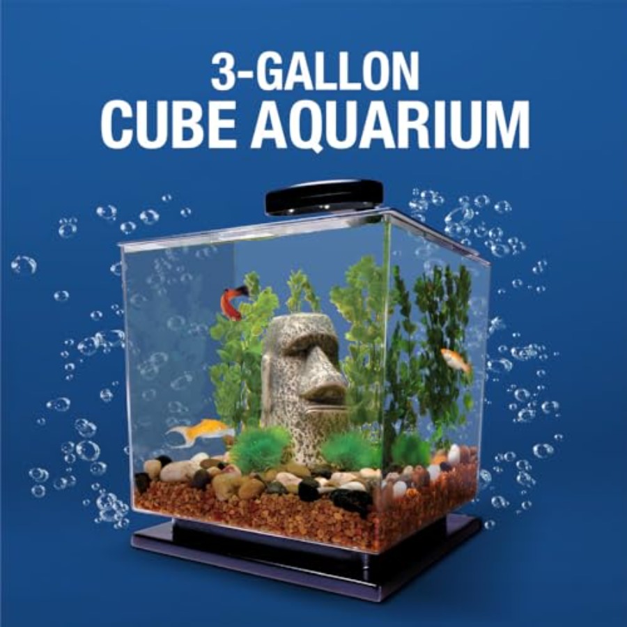 3 Gallon Fish Tank Aquarium St - Aquarium Fish Goldfish recensie en prijs