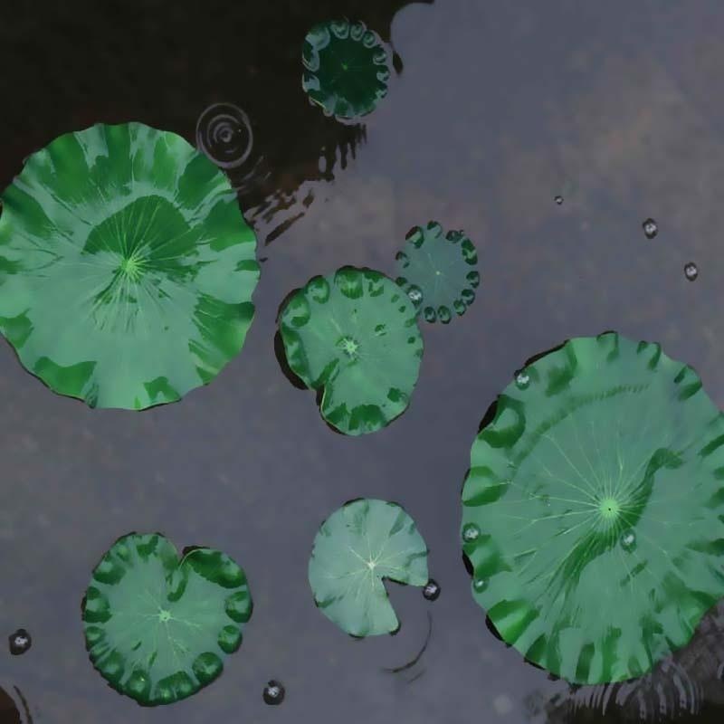 2026 Artificial Water Lily Lot - Aquarium Fish Gallery recensie en prijs