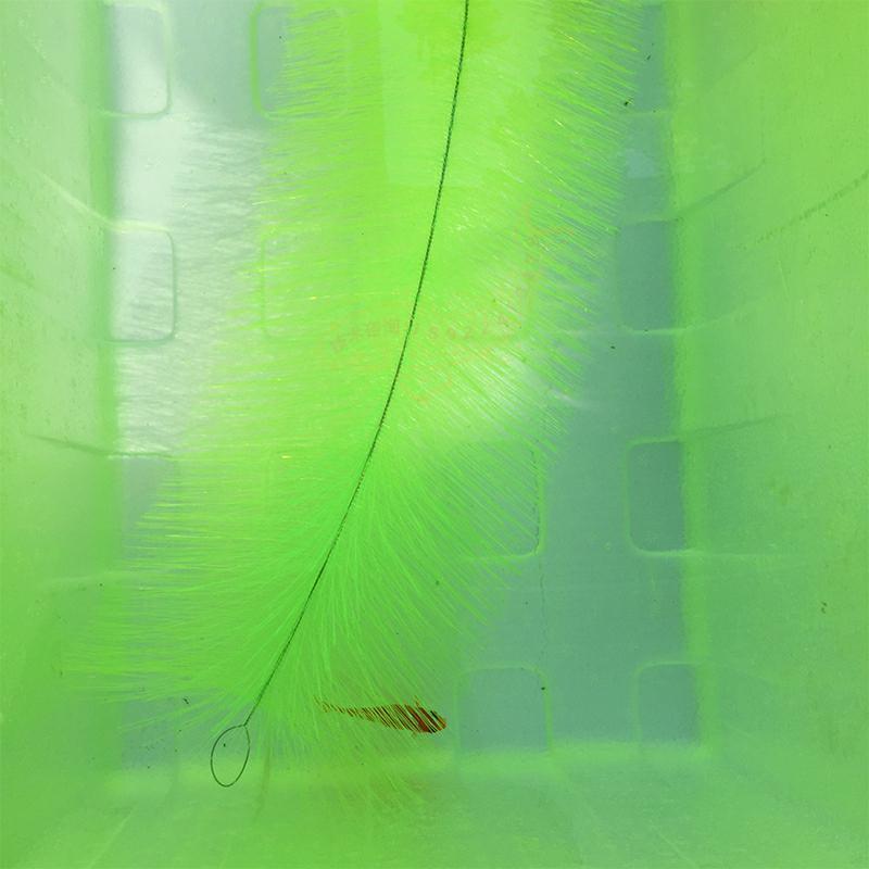 Breeding Grass for Koi Fish Eg - Aquarium Fish Goldfish recensie en prijs