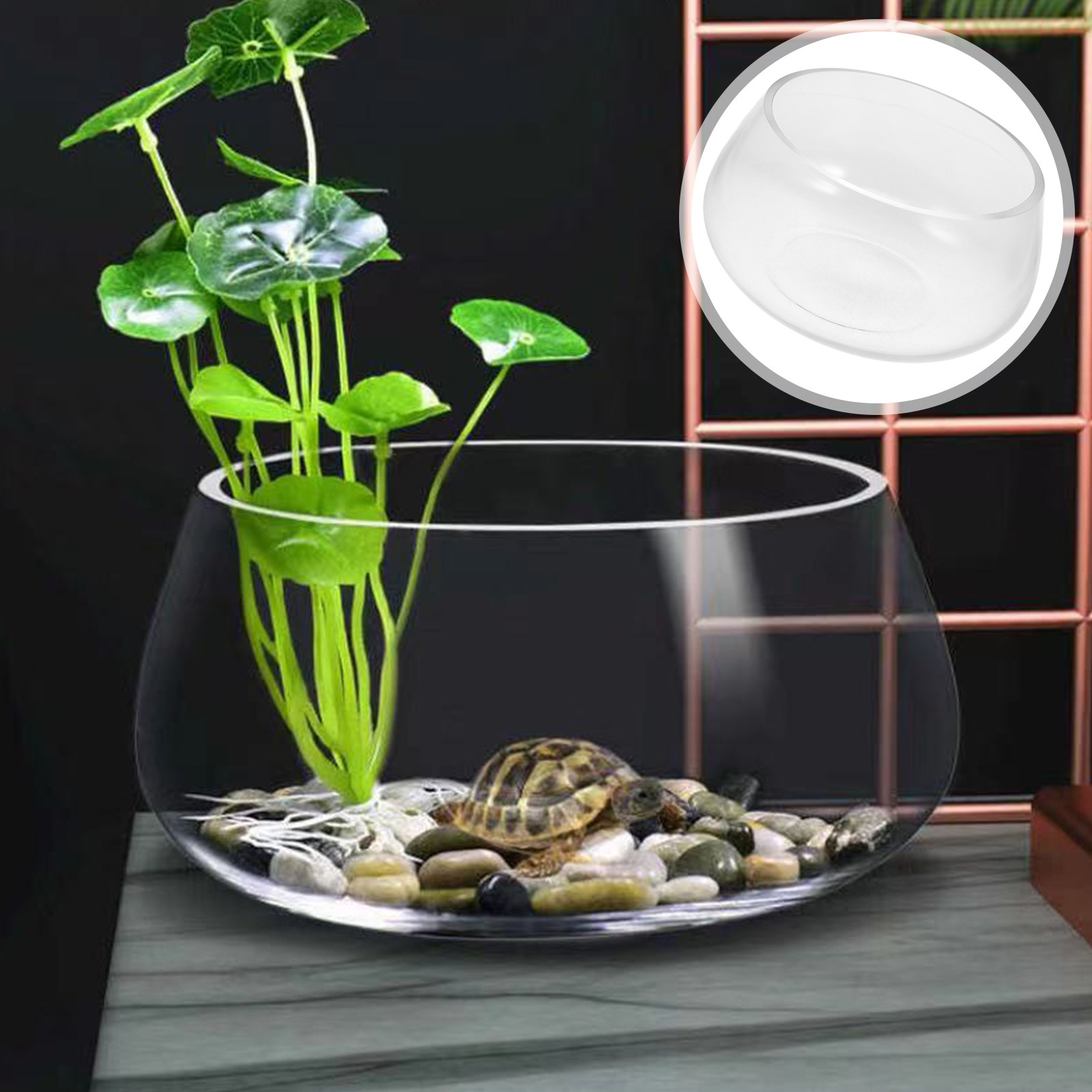 Round Mini Aquarium Tank Clear - Aquarium Fish Goldfish recensie en prijs