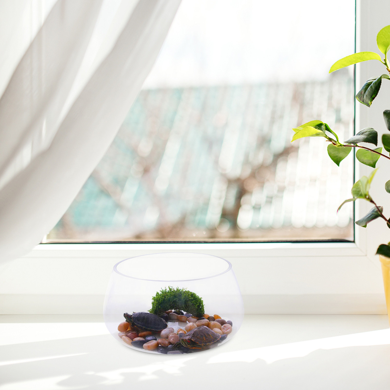 Round Mini Aquarium Tank Clear - Aquarium Fish Goldfish recensie en prijs