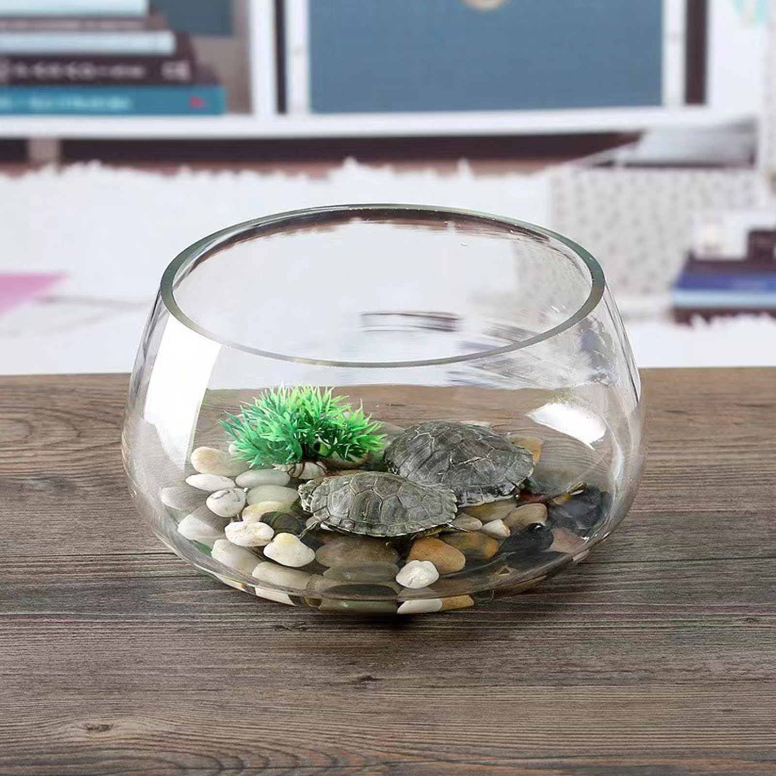 Round Mini Aquarium Tank Clear - Aquarium Fish Goldfish recensie en prijs