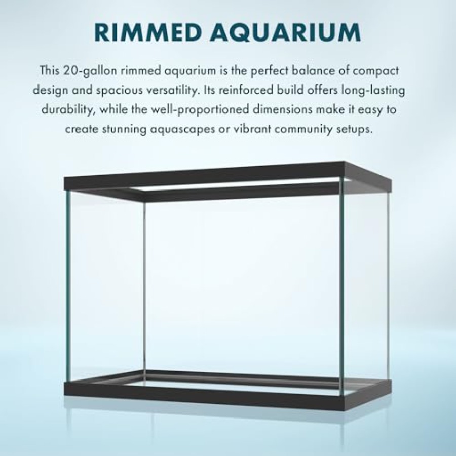 20 Gallon Glass Aquarium - 24  - Aquarium Fish Goldfish recensie en prijs