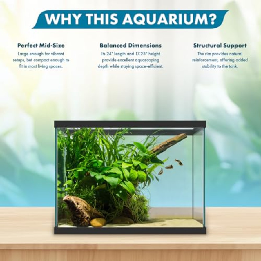 20 Gallon Glass Aquarium - 24  - Aquarium Fish Goldfish recensie en prijs