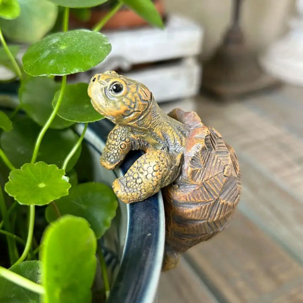 Fishing Turtle Hanging Turtle  - Aquarium Fish Gallery recensie en prijs