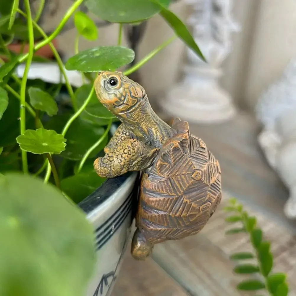 Fishing Turtle Hanging Turtle  - Aquarium Fish Gallery recensie en prijs