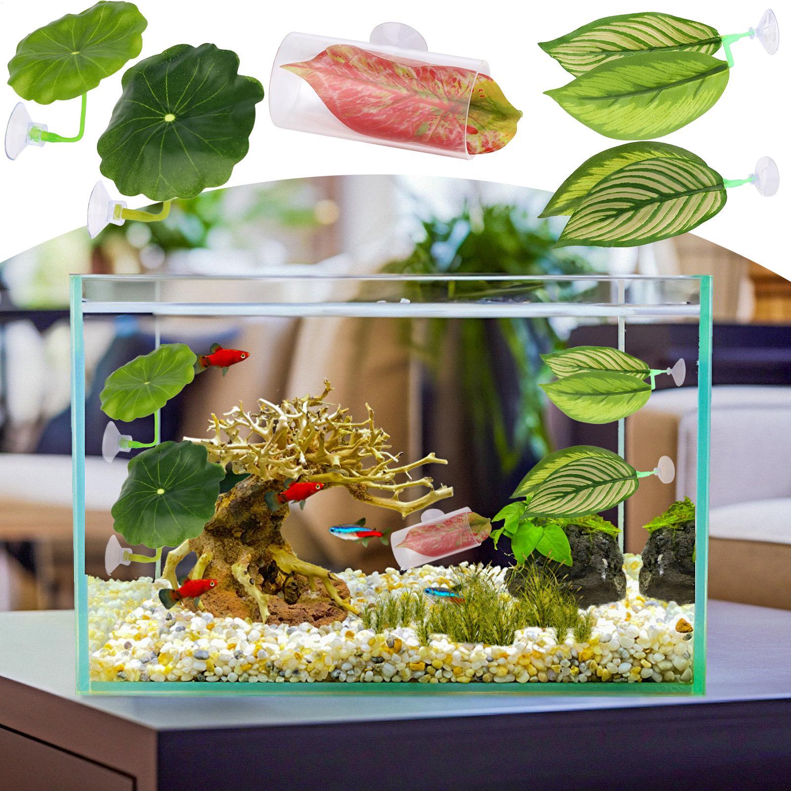 Betta Fish Hammock 5 Pieces Ad - Aquarium Fish Betta recensie en prijs