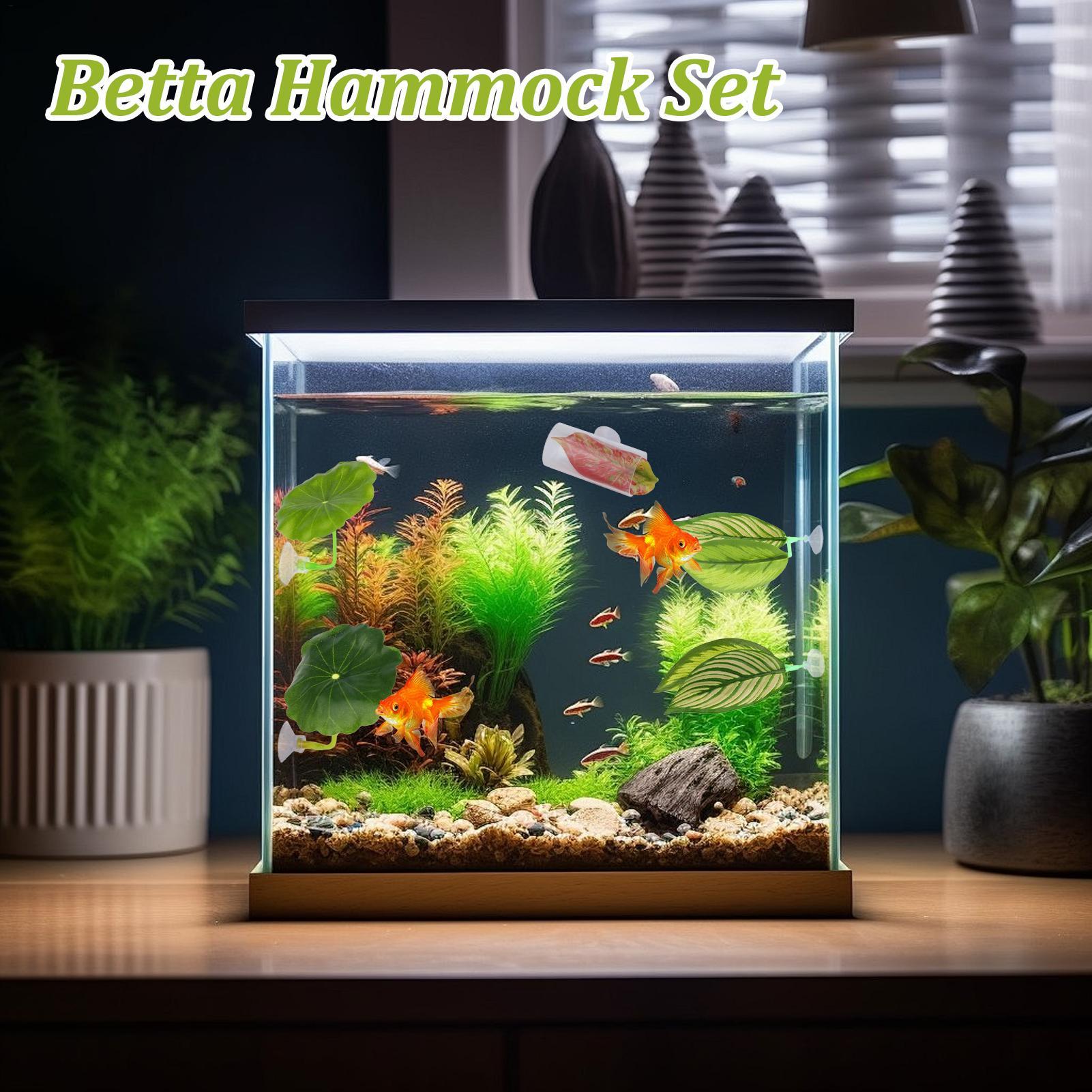 Betta Fish Hammock 5 Pieces Ad - Aquarium Fish Betta recensie en prijs