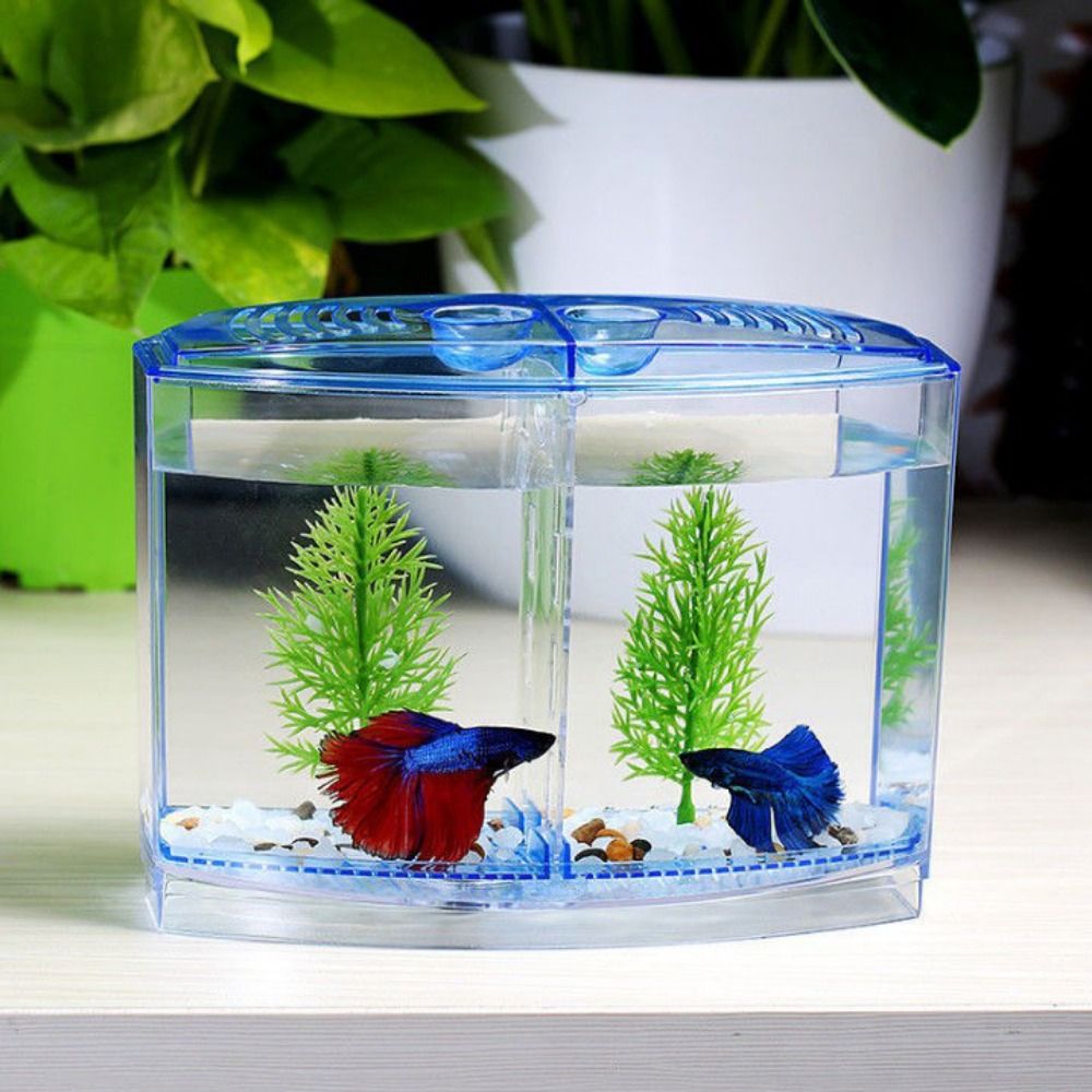 Transparent Betta Fish Tank, D - Aquarium Fish Betta recensie en prijs