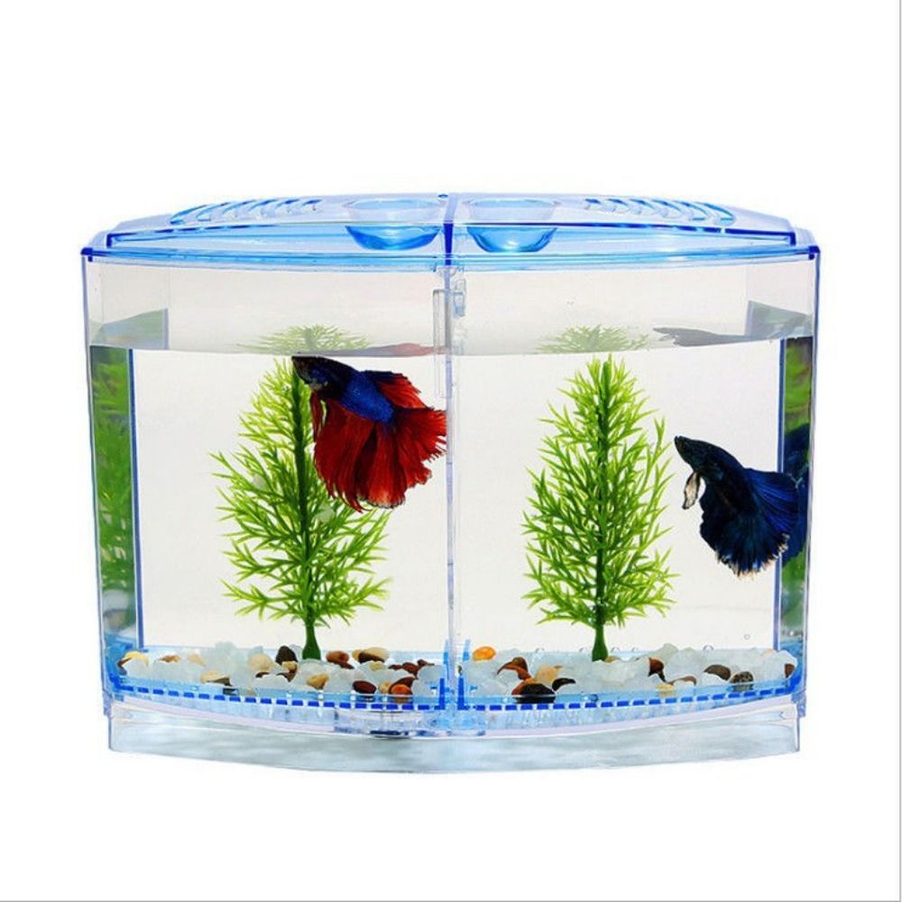 Transparent Betta Fish Tank, D - Aquarium Fish Betta recensie en prijs