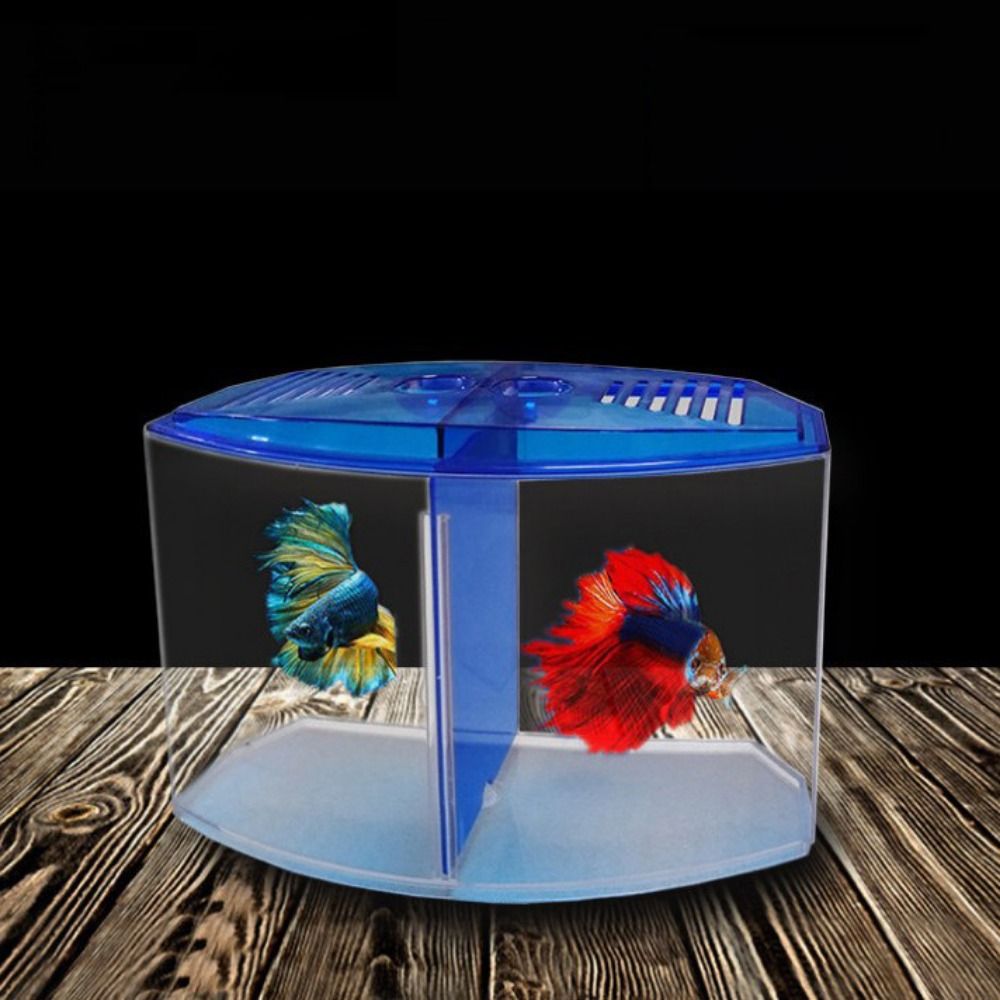 Transparent Betta Fish Tank, D - Aquarium Fish Betta recensie en prijs