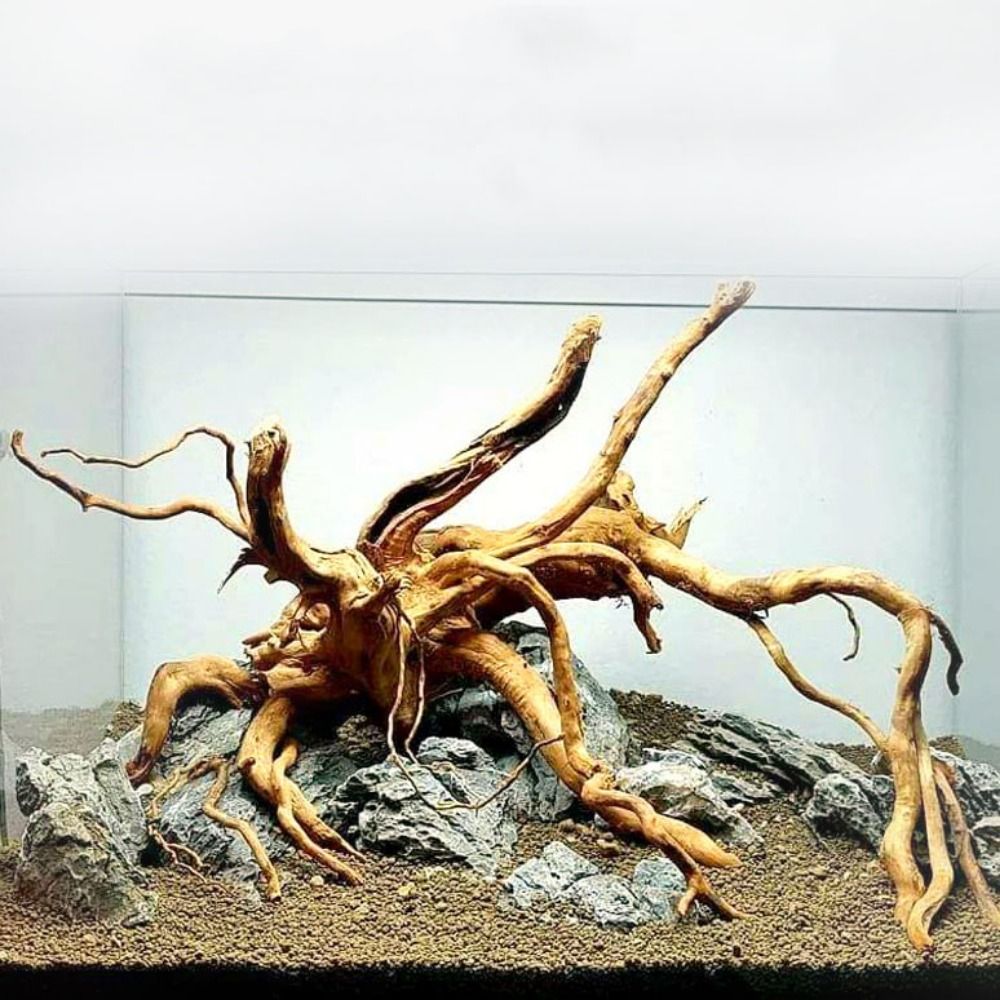 Natural Tree Trunk Aquarium De - Aquarium Fish Hide recensie en prijs