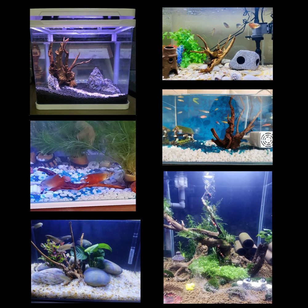 Natural Tree Trunk Aquarium De - Aquarium Fish Hide recensie en prijs