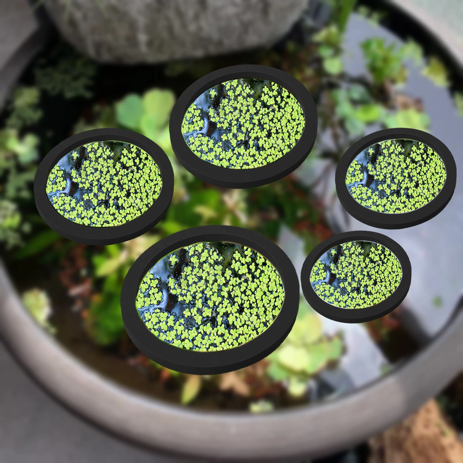 5Pcs EVA Fish Feeding Ring Aqu - Aquarium Fish Gallery recensie en prijs