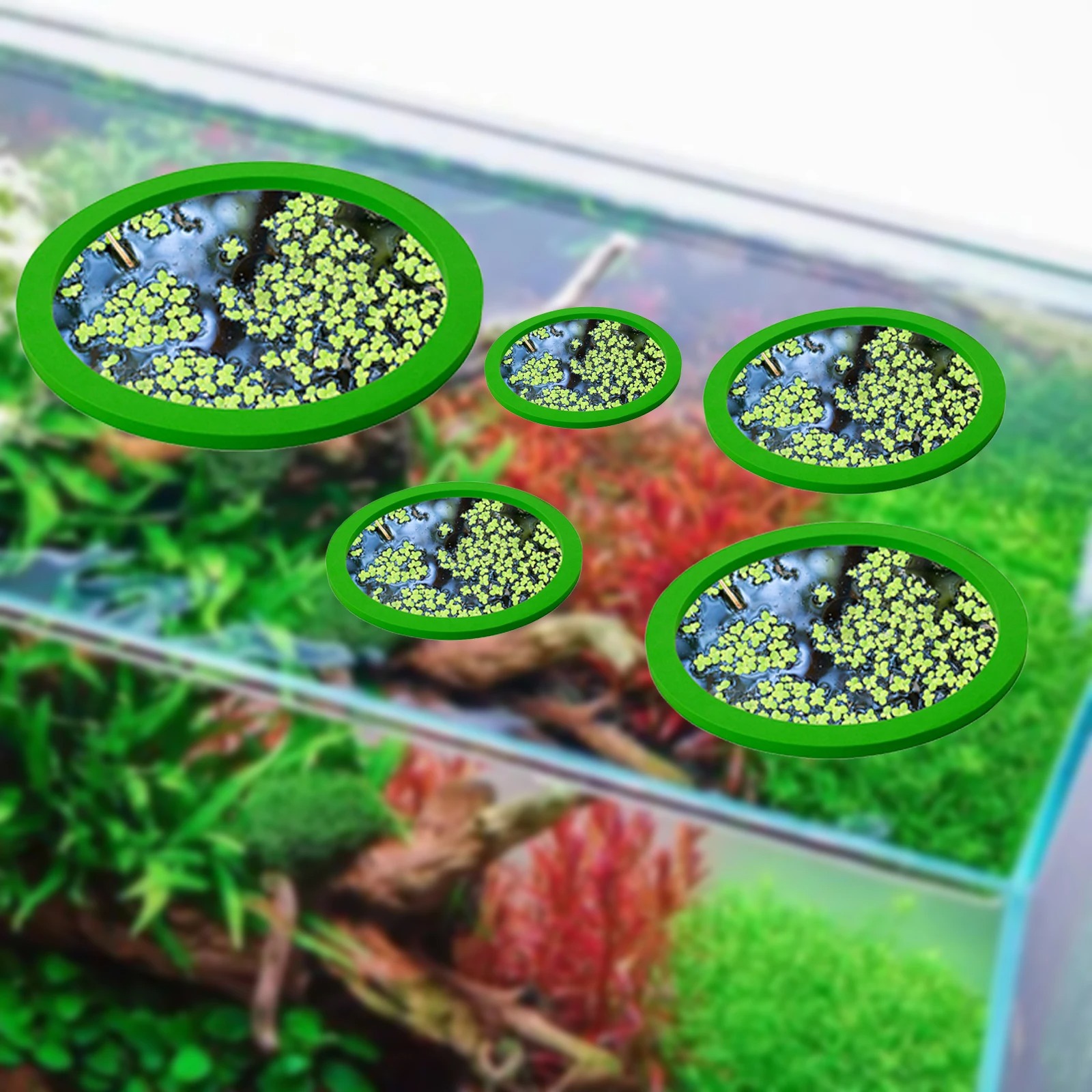 5Pcs EVA Fish Feeding Ring Aqu - Aquarium Fish Gallery recensie en prijs
