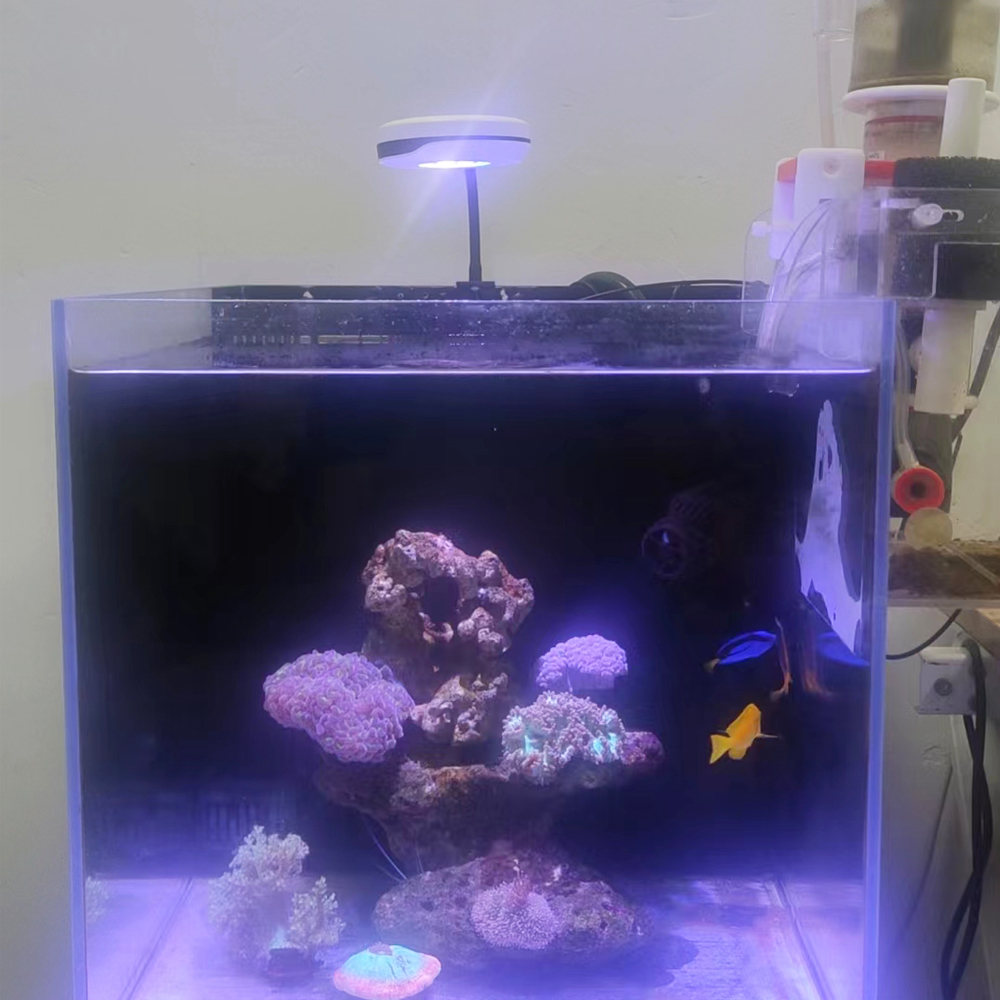 20W Spectra SP20 Ac110-240V Fr - Refugium Light Nano recensie en prijs