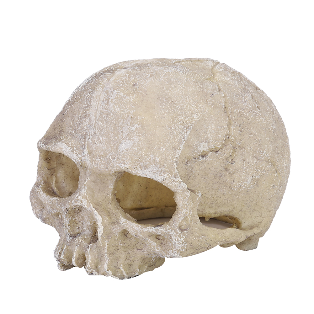 Resin Simulated Head Bone Skul - Aquarium Fish Hide recensie en prijs