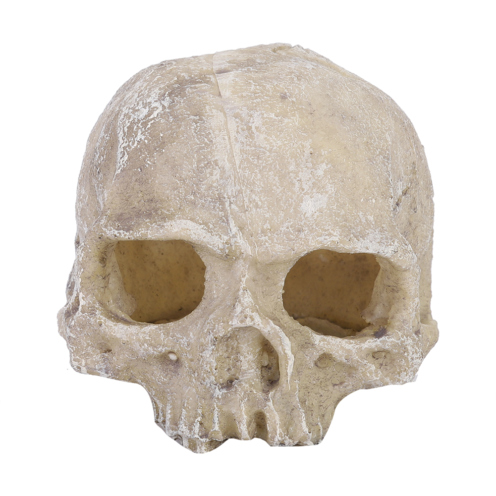 Resin Simulated Head Bone Skul - Aquarium Fish Hide recensie en prijs