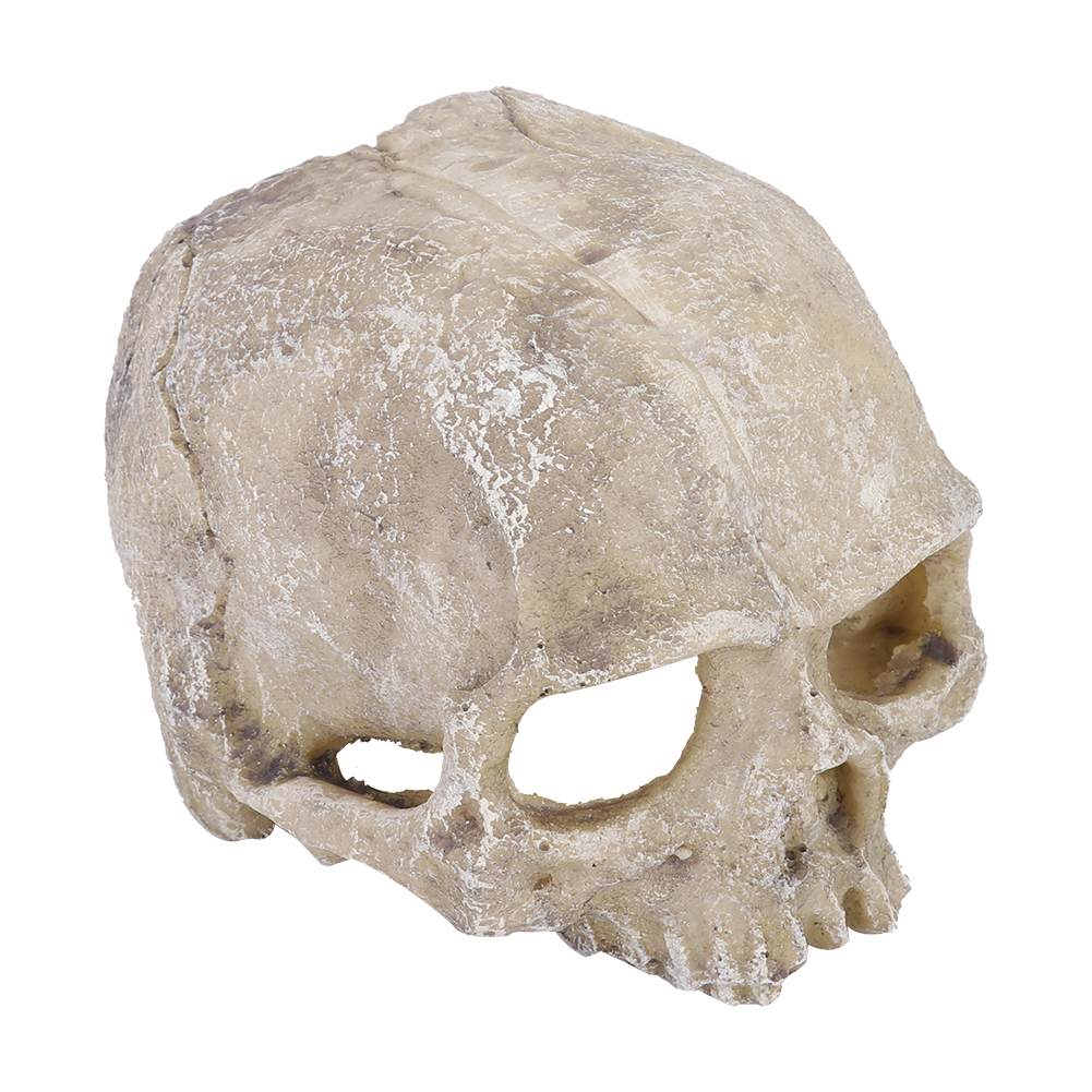 Resin Simulated Head Bone Skul - Aquarium Fish Hide recensie en prijs