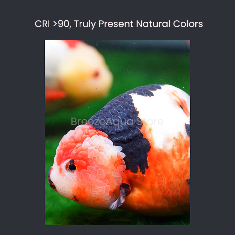 MAYIN Super Colour 100W Freshw - Aquarium Fish Goldfish recensie en prijs