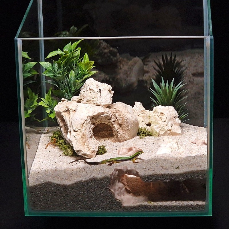 3DPrinted Fish Tank Tunnel She - Aquarium Fish Hide recensie en prijs