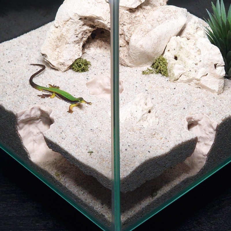 3DPrinted Fish Tank Tunnel She - Aquarium Fish Hide recensie en prijs