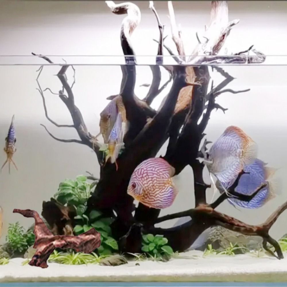 Creative Irregular Shape Coral - Aquarium Fish Hide recensie en prijs